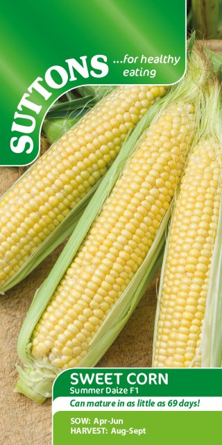 SUTTONS Suttons Summer Daize Sweetcorn F1 Seeds