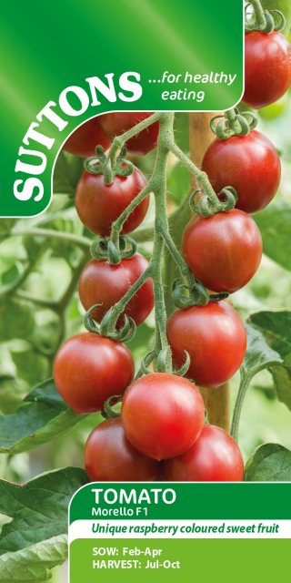 SUTTONS Suttons Morello Tomato F1 Seeds