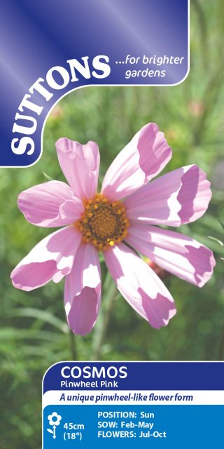 SUTTONS Suttons Pinwell Pink Cosmos Seeds