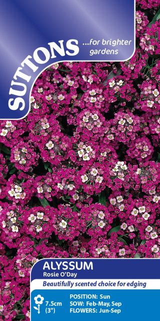 SUTTONS Suttons Alyssum Rosie O'Day Seeds