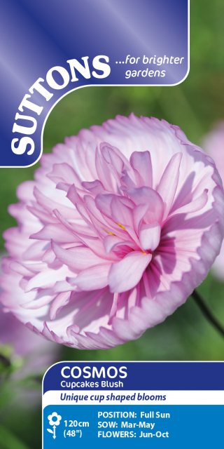 SUTTONS Suttons Cupcakes Blush Cosmos Seeds