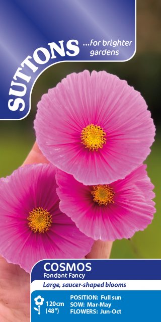 SUTTONS Suttons Fondant Fancy Cosmos Seeds