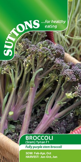 SUTTONS Suttons Tyrian Stem Broccoli F1 Seeds