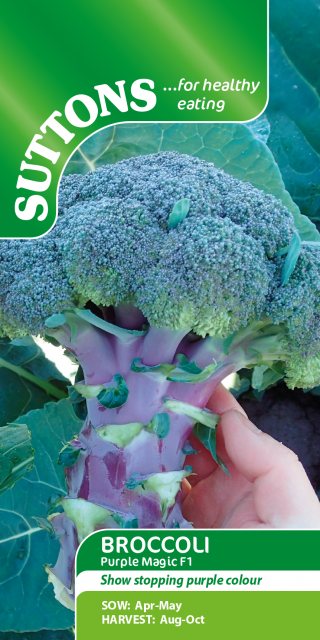 SUTTONS Suttons Purple Magic Broccoli F1 Seeds