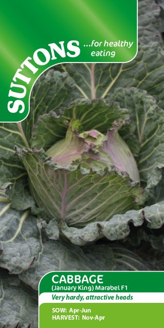 SUTTONS Suttons Marabel January King Cabbage F1 Seeds