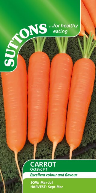 SUTTONS Suttons Octavo Carrot F1 Seeds