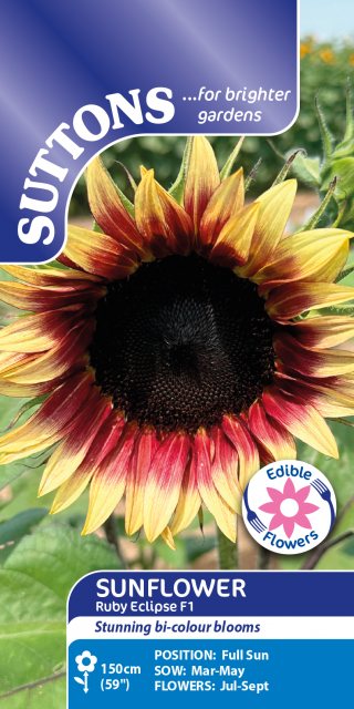 SUTTONS Suttons Ruby Eclipse Sunflower F1 Seeds