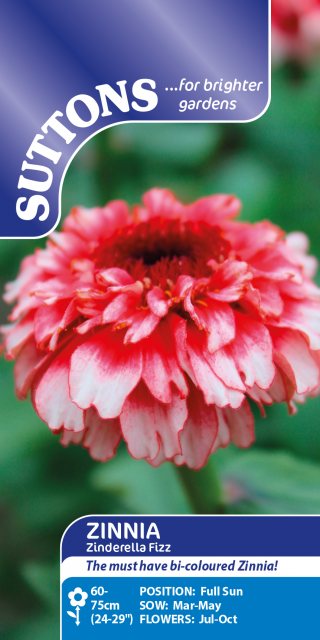 SUTTONS Suttons Zinnia Zinderella Fizz Seeds