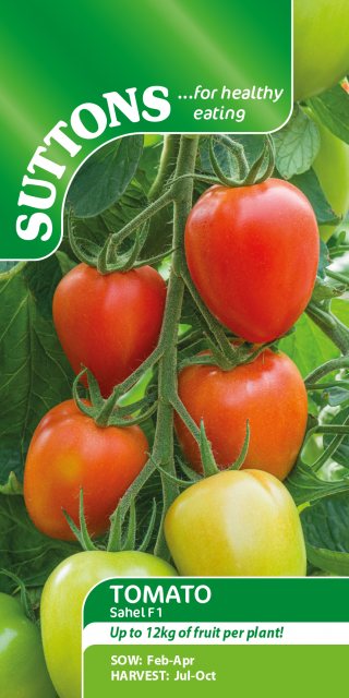 SUTTONS Suttons Sahel Tomato F1 Seeds
