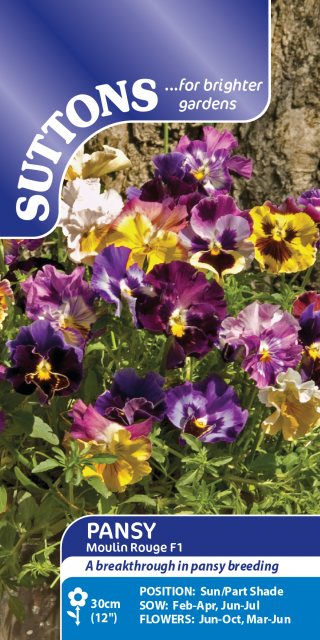 SUTTONS Suttons Moulin Rouge Pansy F1 Seeds