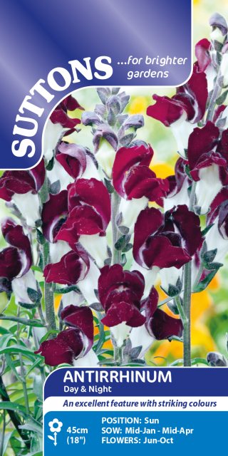 SUTTONS Suttons Antirrhinum Day & Night Seeds