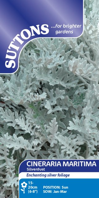 SUTTONS Suttons Cineraria Maritima Silver Dust Seeds