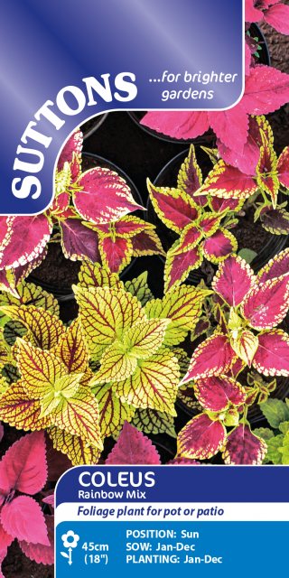 SUTTONS Suttons Coleus Rainbow Mix Seeds