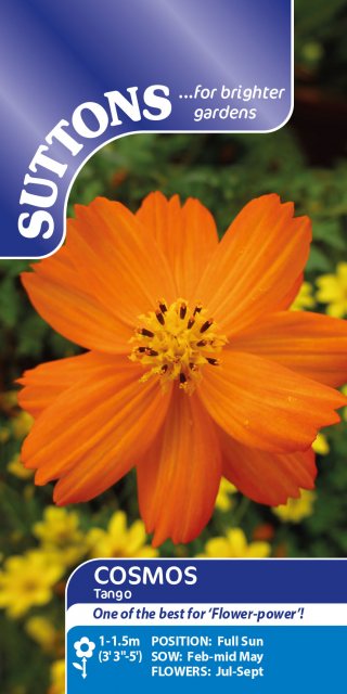 SUTTONS Suttons Tango Cosmos Seeds
