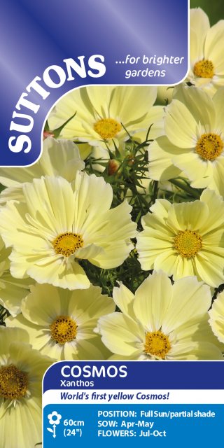SUTTONS Suttons Xanthos Cosmos Seeds