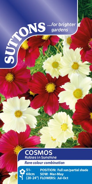 SUTTONS Suttons Rubies in Sunshine Cosmea Seeds