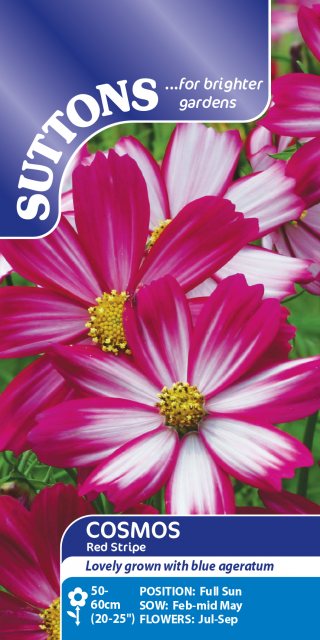SUTTONS Suttons Red Stripe Cosmea Seeds