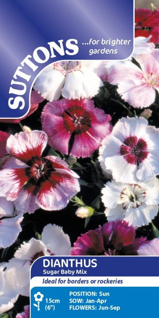 SUTTONS Suttons Dianthus Sugar Baby Mix Seeds
