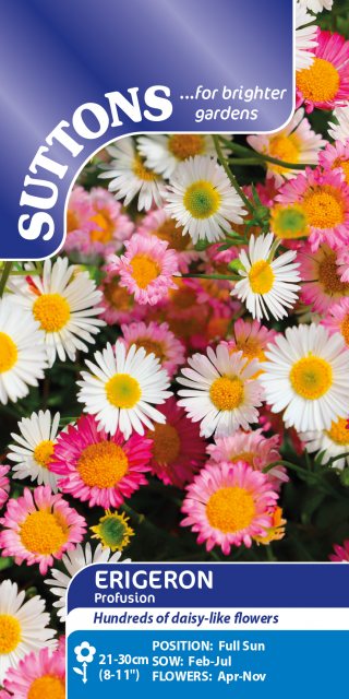 SUTTONS Suttons Erigeron Profusion Seeds