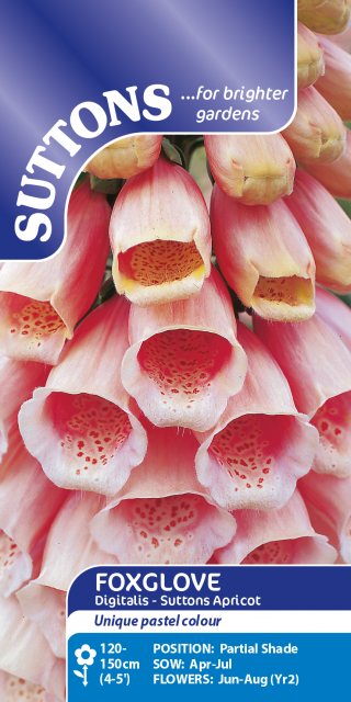 SUTTONS Suttons Digitalis Suttons Apricot Foxglove Seeds