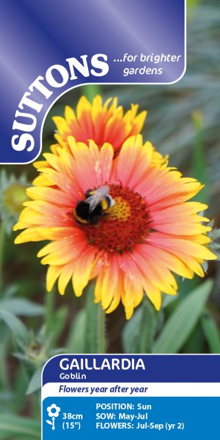 SUTTONS Suttons Gaillardia Goblin Seeds