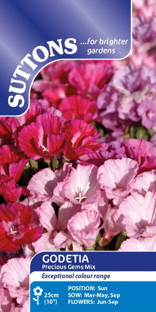 SUTTONS Suttons Godetia Precious Gems Mix Seeds