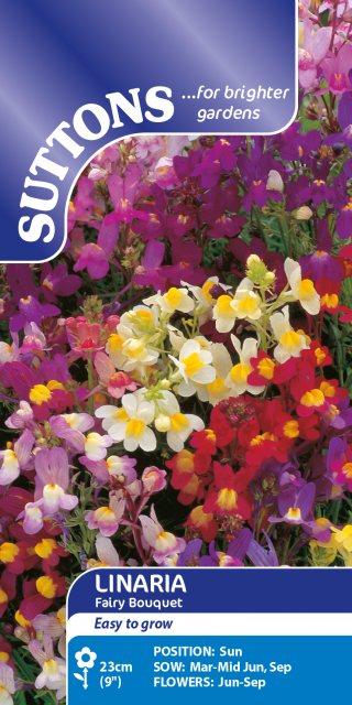 SUTTONS Suttons Linaria Fairy Bouquet Seeds