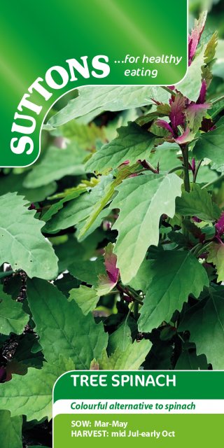 SUTTONS Suttons Tree Spinach Seeds
