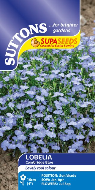SUTTONS Suttons Cambridge Blue Lobelia Seeds