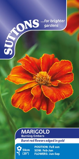 SUTTONS Suttons Burning Embers Marigold Seeds