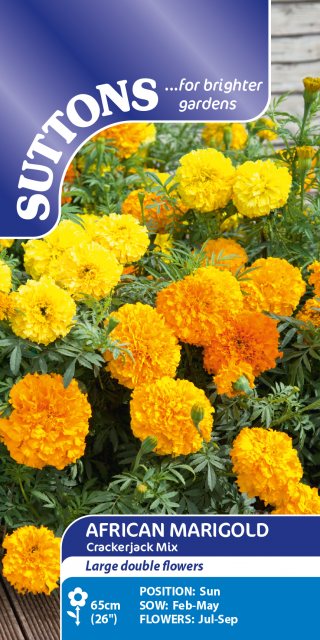SUTTONS Suttons African Crackerjack Mix Marigold Seeds