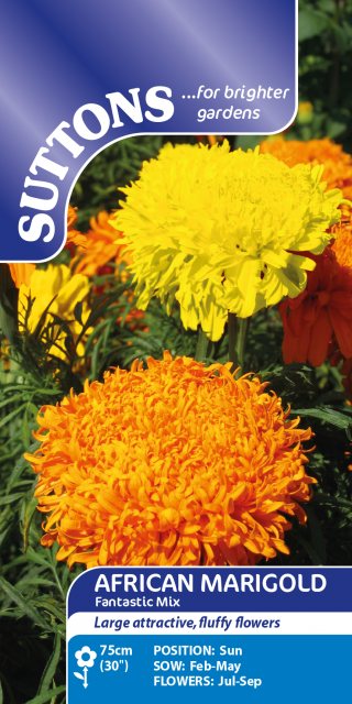 SUTTONS Suttons African Fantastic Mix Marigold Seeds
