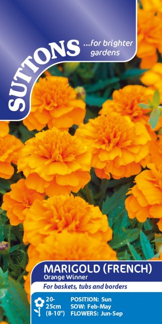 SUTTONS Suttons French Orange Winner Marigold Seeds