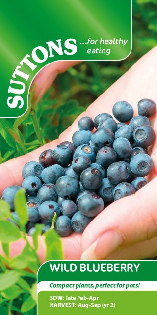 SUTTONS Suttons Wild Blueberry Seeds