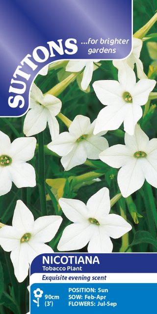 SUTTONS Suttons Affinis Nicotiana Seeds