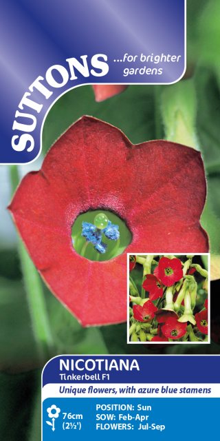 SUTTONS Suttons Tinkerbell Nicotiana F1 Seeds