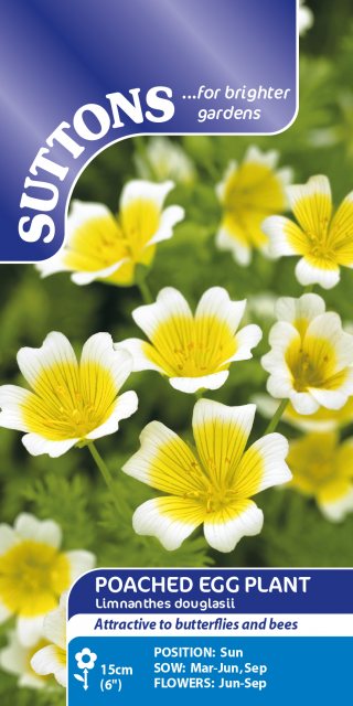 SUTTONS Suttons Poached Egg Plant Seeds