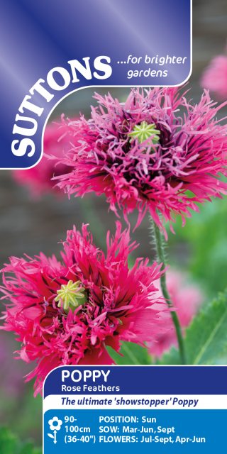 SUTTONS Suttons Papaver Rose Feathers Poppy Seeds