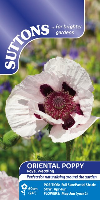 SUTTONS Suttons Oriental Royal Wedding Poppy Seeds