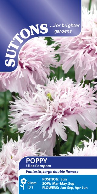 SUTTONS Suttons Lilac Pom Pom Poppy Seeds