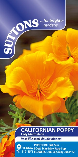 SUTTONS Suttons Californian Poppy Lady Marmalade Seeds