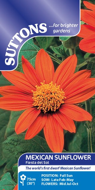 SUTTONS Suttons Fiesta Del Sol Mexican Sunflower Seeds