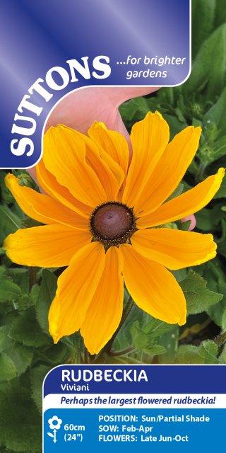 SUTTONS Suttons Viviani Rudbeckia Seeds