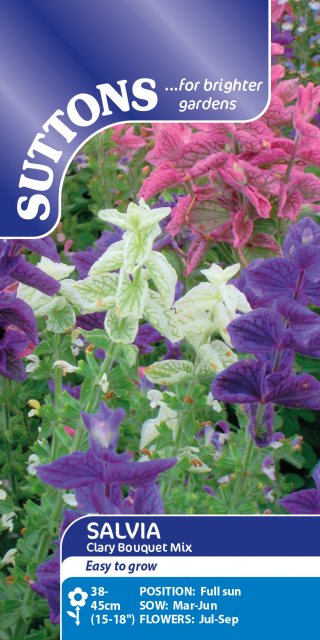 SUTTONS Suttons Clary Bouquet Salvia Mix Seeds