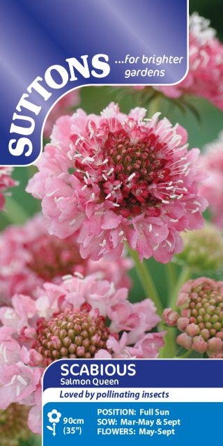 SUTTONS Suttons Scabious Salmon Queen Seeds