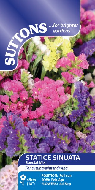 SUTTONS Suttons Statice Special Mix Seeds