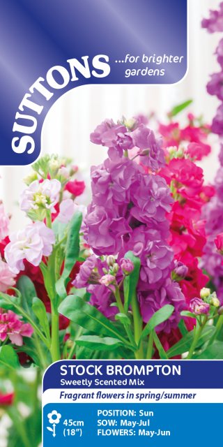 SUTTONS Suttons Sweetly Scented Stock Mix Seeds