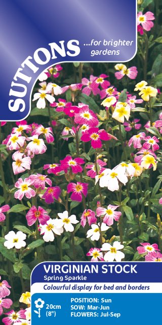 SUTTONS Suttons Spring Sparkle Virginia Stock Seeds