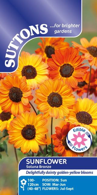 SUTTONS Suttons Soluna Bronze Sunflower Seeds