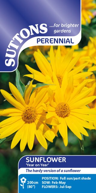 SUTTONS Suttons Year On Year Sunflower Seeds